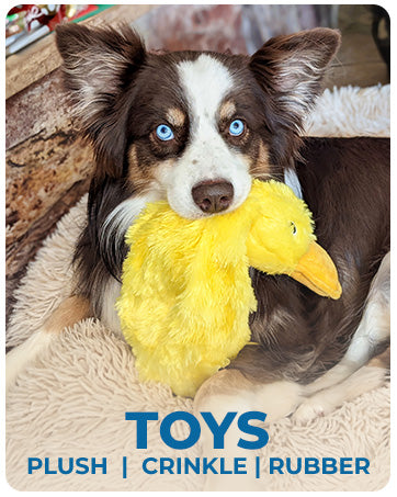 Squeaky Duck Dog Toy – Stuffed & No-Stuff Plush Chew Toy - Elorapets Elorapets Yellow j4e0kn-zs 4 Squeaky Duck Dog Toy – Stuffed & No-Stuff Plush Chew Toy