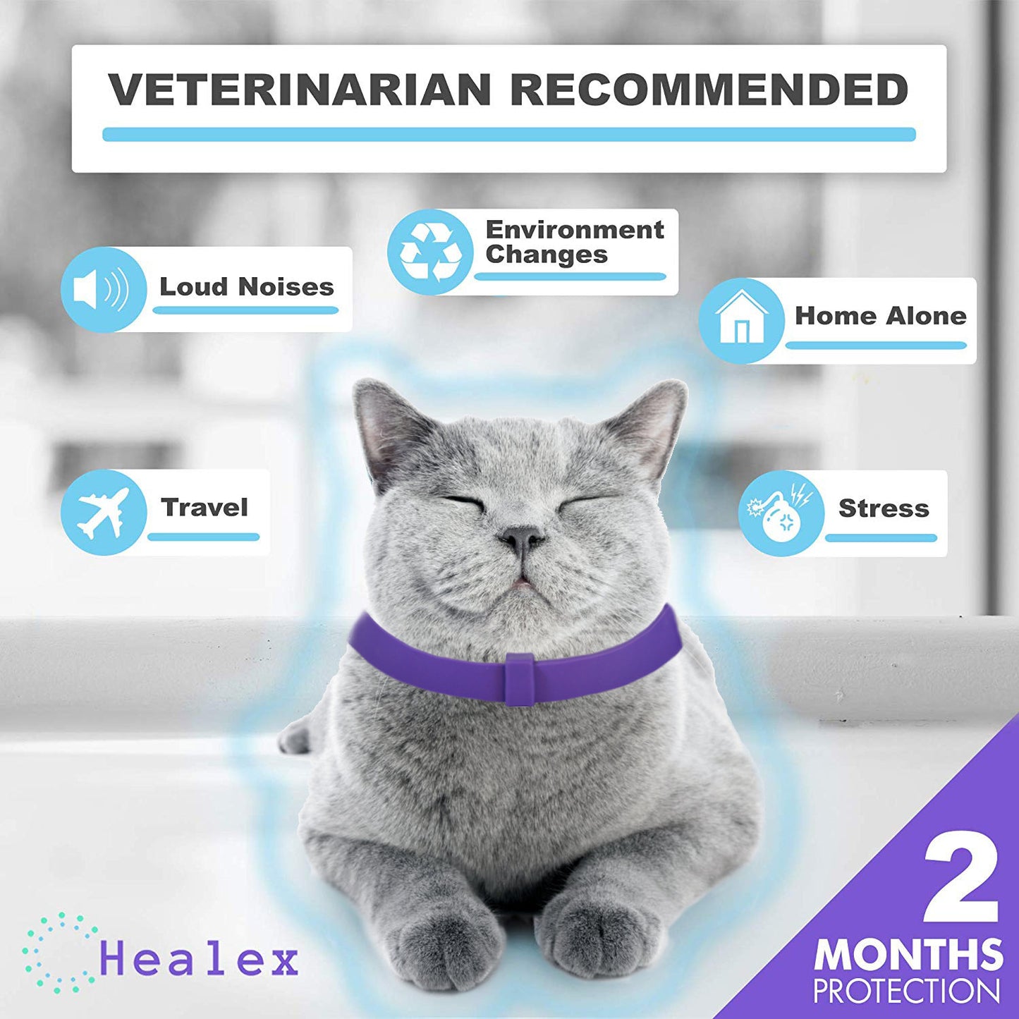 Pet Calm Collar Cat Comfort Collar Relieve Anxiety - Elorapets Elorapets Purple j4e0kn-zs 0 Pet Calm Collar Cat Comfort Collar Relieve Anxiety