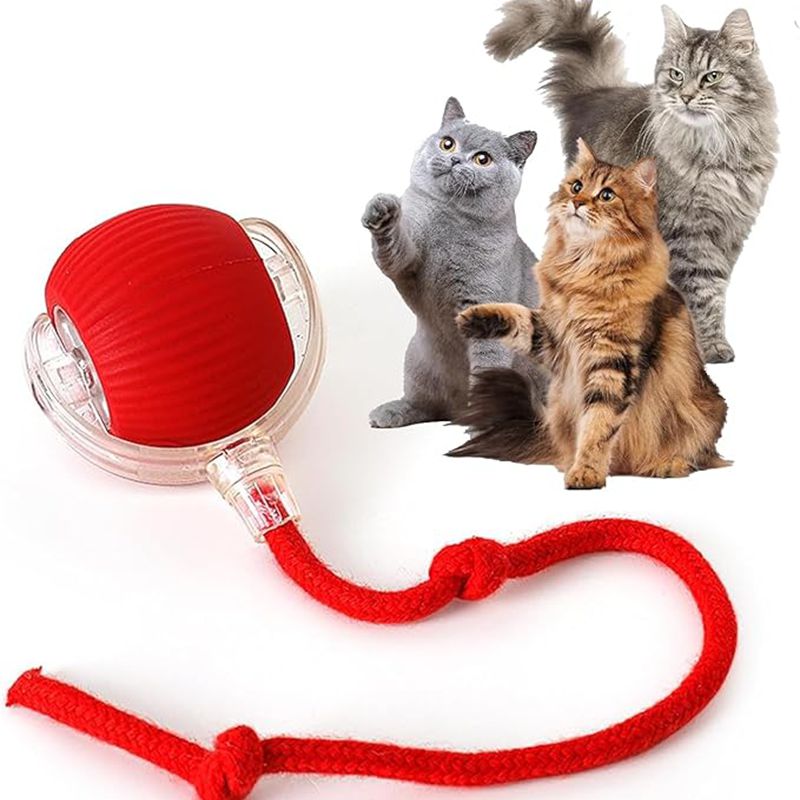 Interactive Smart Cat Ball Toy – USB Rechargeable - Elorapets Elorapets Red j4e0kn-zs 4 Interactive Smart Cat Ball Toy – USB Rechargeable