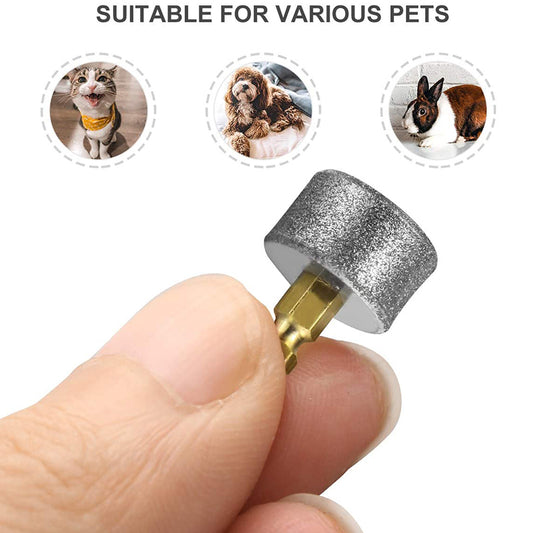 Replacement Grinding Head Of Pet Automatic Nail Grinder - Elorapets Elorapets Grinding head / 1PC j4e0kn-zs 0 Replacement Grinding Head Of Pet Automatic Nail Grinder