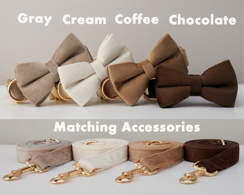 Multiple Colour Velvet Personalise Dog Collar Leash Set With Bow - Elorapets Elorapets Brown / XS j4e0kn-zs 0 Multiple Colour Velvet Personalise Dog Collar Leash Set With Bow