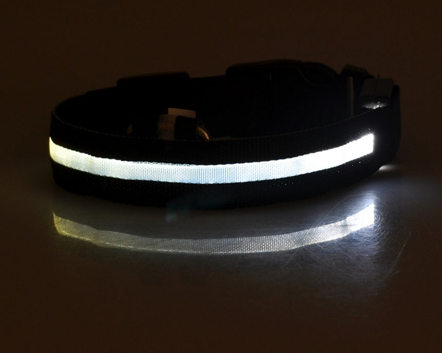 LED Luminous Dog Collar – Flashing Night Safety Nylon Collar - Elorapets Elorapets white / L / battery j4e0kn-zs 0 LED Luminous Dog Collar – Flashing Night Safety Nylon Collar