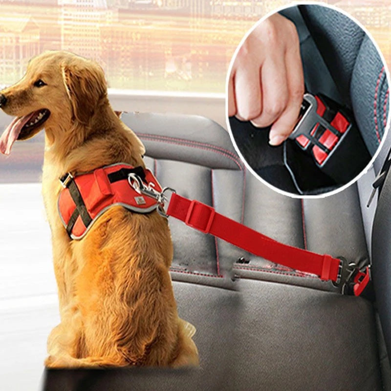 Adjustable Pet Car Seat Belt – Dog & Cat Safety Harness Clip - Elorapets Elorapets Black j4e0kn-zs 0 Adjustable Pet Car Seat Belt – Dog & Cat Safety Harness Clip