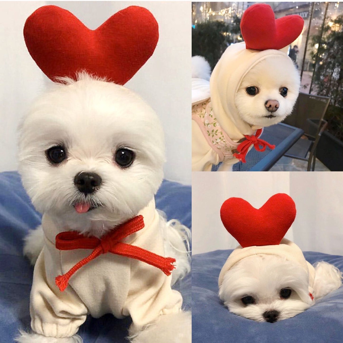 Cute Fruit Dog Hoodie – Warm Fleece Winter Coat for Small Dogs - Elorapets Elorapets 2 Style / XS j4e0kn-zs 0 Cute Fruit Dog Hoodie – Warm Fleece Winter Coat for Small Dogs