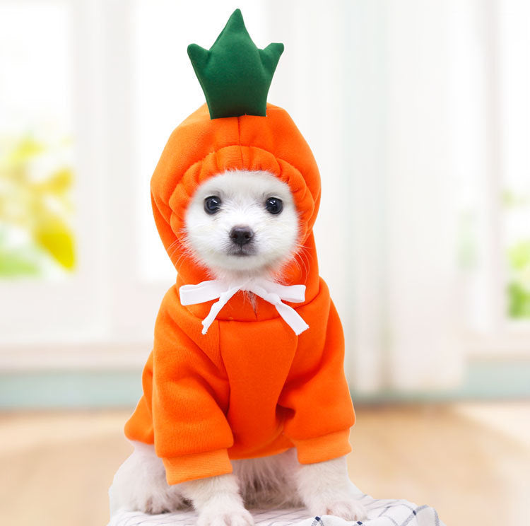Cute Fruit Dog Hoodie – Warm Fleece Winter Coat for Small Dogs - Elorapets Elorapets 3 Style / XS j4e0kn-zs 0 Cute Fruit Dog Hoodie – Warm Fleece Winter Coat for Small Dogs