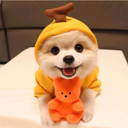 Cute Fruit Dog Hoodie – Warm Fleece Winter Coat for Small Dogs - Elorapets Elorapets 7 Style / XS j4e0kn-zs 0 Cute Fruit Dog Hoodie – Warm Fleece Winter Coat for Small Dogs