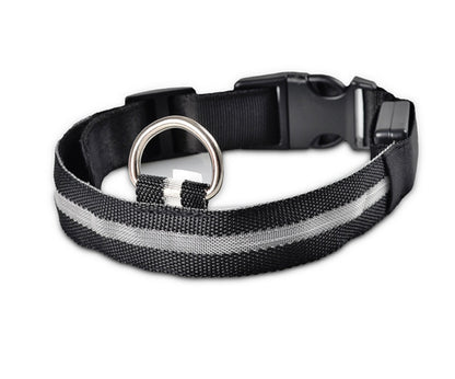 LED Luminous Dog Collar – Flashing Night Safety Nylon Collar - Elorapets Elorapets white / XL / chargable j4e0kn-zs 0 LED Luminous Dog Collar – Flashing Night Safety Nylon Collar