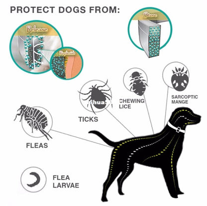 Premium Flea and Tick Collar - Elorapets Elorapets Cat / 3pcs j4e0kn-zs 0 Premium Flea and Tick Collar
