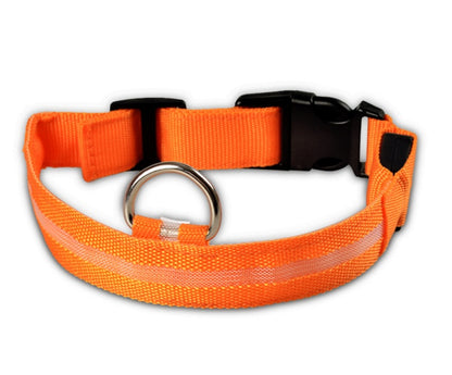 LED Luminous Dog Collar – Flashing Night Safety Nylon Collar - Elorapets Elorapets orange / L / chargable j4e0kn-zs 0 LED Luminous Dog Collar – Flashing Night Safety Nylon Collar