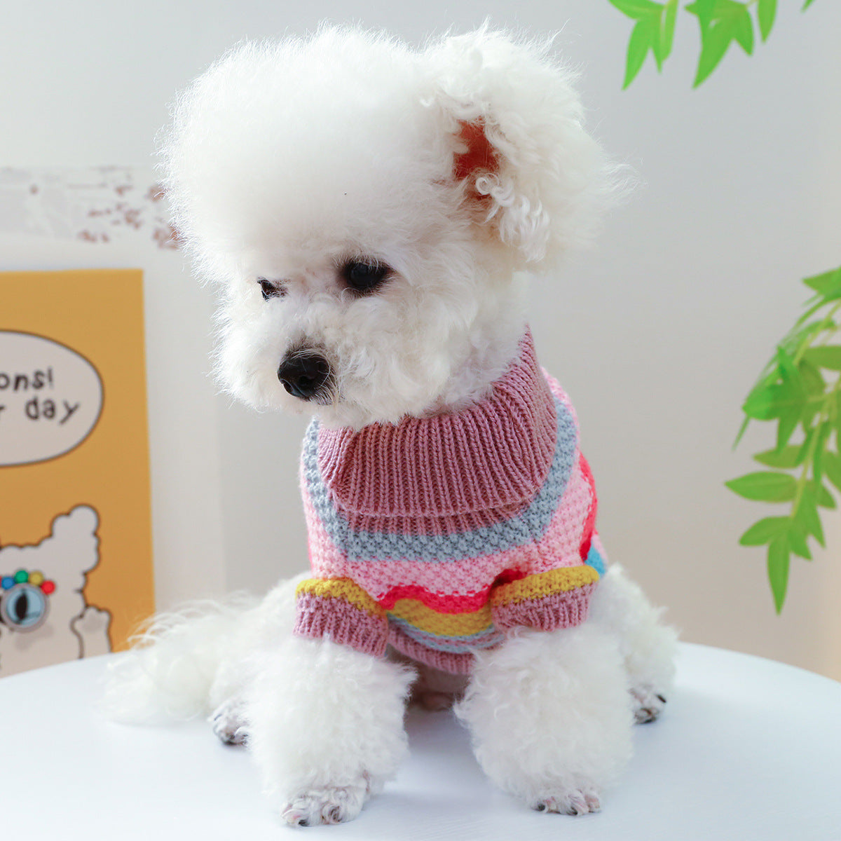 Pet Ring Comfortable Color Stripes Colorful Sweater - Elorapets Elorapets Color Stripes Colorful Sweater / XS j4e0kn-zs 0 Pet Ring Comfortable Color Stripes Colorful Sweater