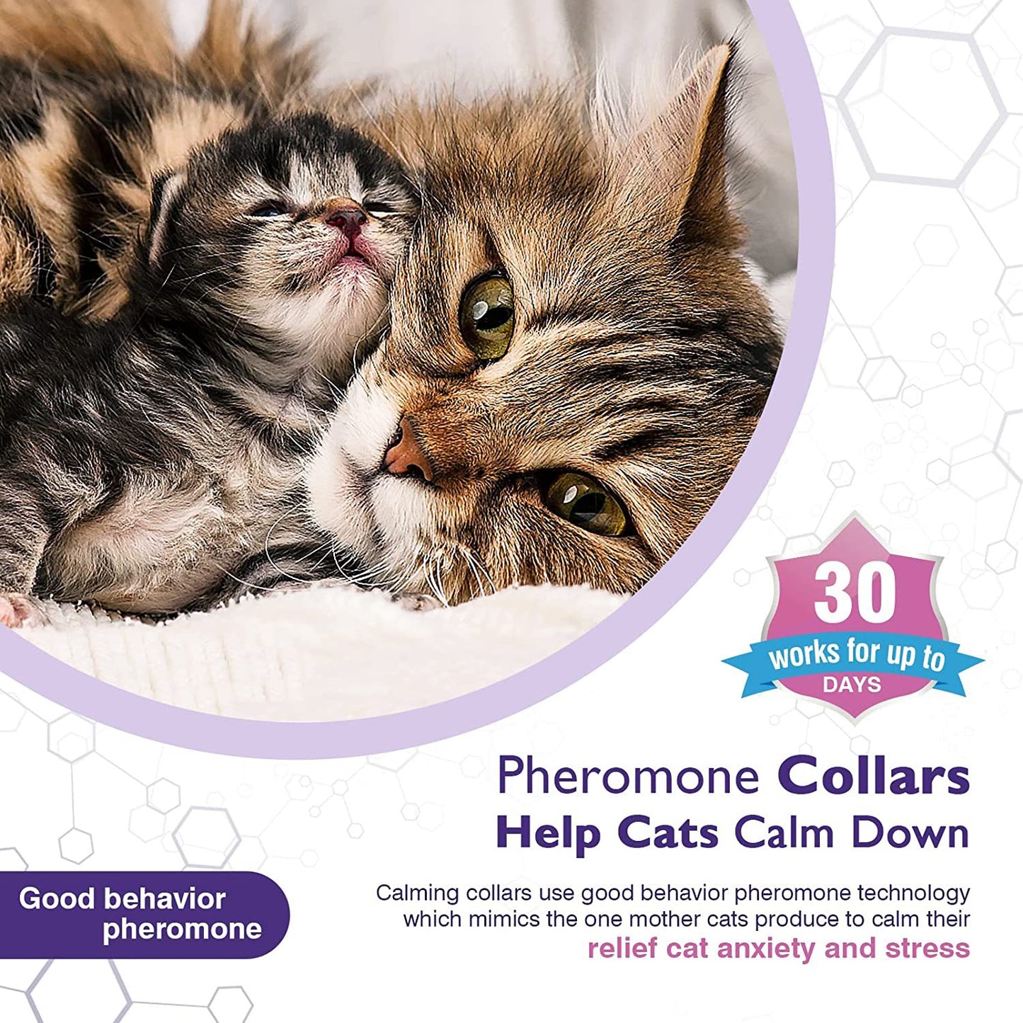 Pet Calm Collar Cat Comfort Collar Relieve Anxiety - Elorapets Elorapets Purple j4e0kn-zs 0 Pet Calm Collar Cat Comfort Collar Relieve Anxiety