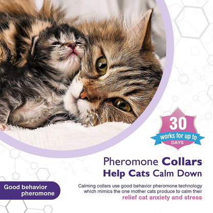 Pet Calm Collar Cat Comfort Collar Relieve Anxiety - Elorapets Elorapets Purple j4e0kn-zs 0 Pet Calm Collar Cat Comfort Collar Relieve Anxiety