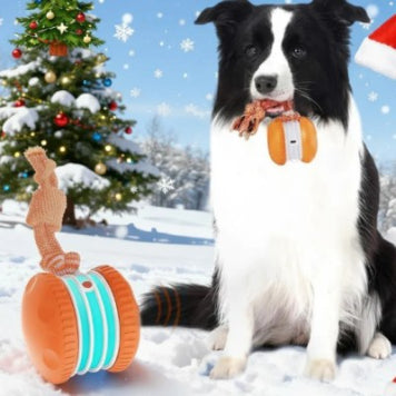 Interactive Rolling Dog Ball – USB Rechargeable Toy - Elorapets Elorapets Five generations of orange j4e0kn-zs 0 Interactive Rolling Dog Ball – USB Rechargeable Toy