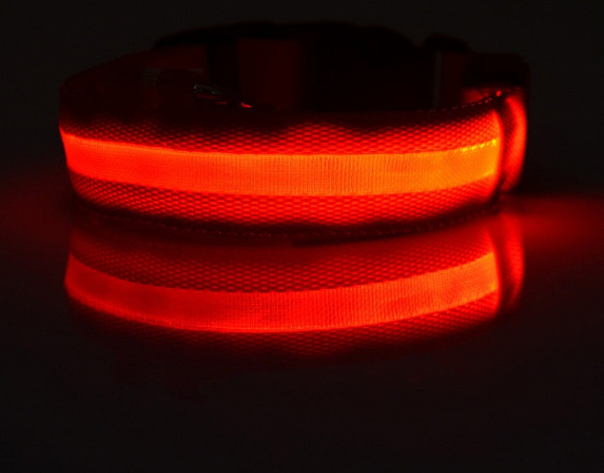 LED Luminous Dog Collar – Flashing Night Safety Nylon Collar - Elorapets Elorapets red / XS / battery j4e0kn-zs 0 LED Luminous Dog Collar – Flashing Night Safety Nylon Collar