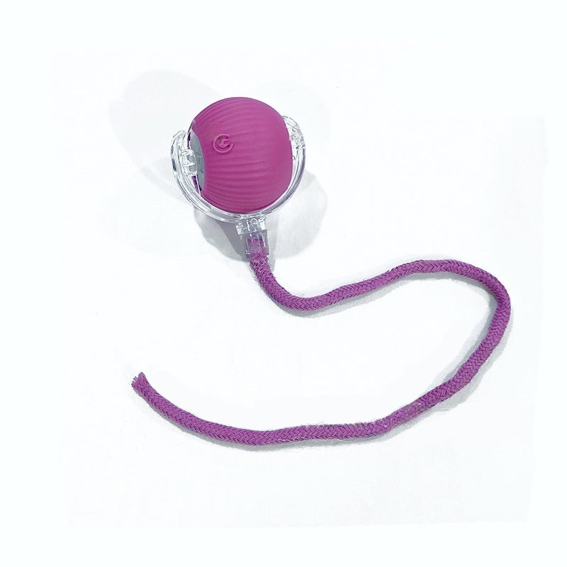 Interactive Smart Cat Ball Toy – USB Rechargeable - Elorapets Elorapets Purple j4e0kn-zs 4 Interactive Smart Cat Ball Toy – USB Rechargeable
