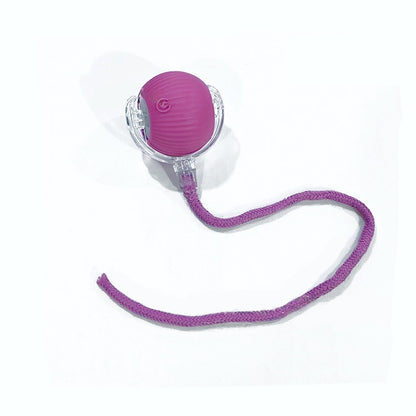 Interactive Smart Cat Ball Toy – USB Rechargeable - Elorapets Elorapets Purple j4e0kn-zs 4 Interactive Smart Cat Ball Toy – USB Rechargeable