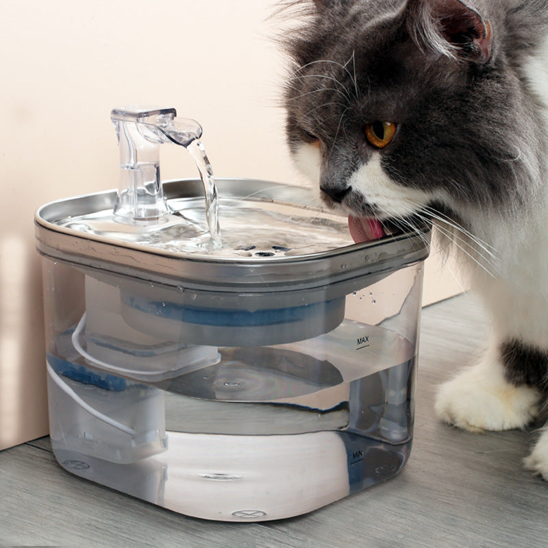 Stainless Steel Pet Water Fountain – Automatic Circulation Dispenser - Elorapets Elorapets Basic payment / 220V US j4e0kn-zs 0 Stainless Steel Pet Water Fountain – Automatic Circulation Dispenser