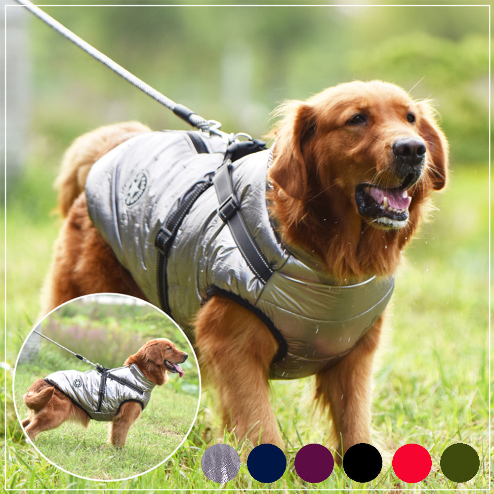 Waterproof Winter Dog Coat with Harness – Warm Dog Jacket - Elorapets Elorapets Black / M j4e0kn-zs 0 Waterproof Winter Dog Coat with Harness – Warm Dog Jacket