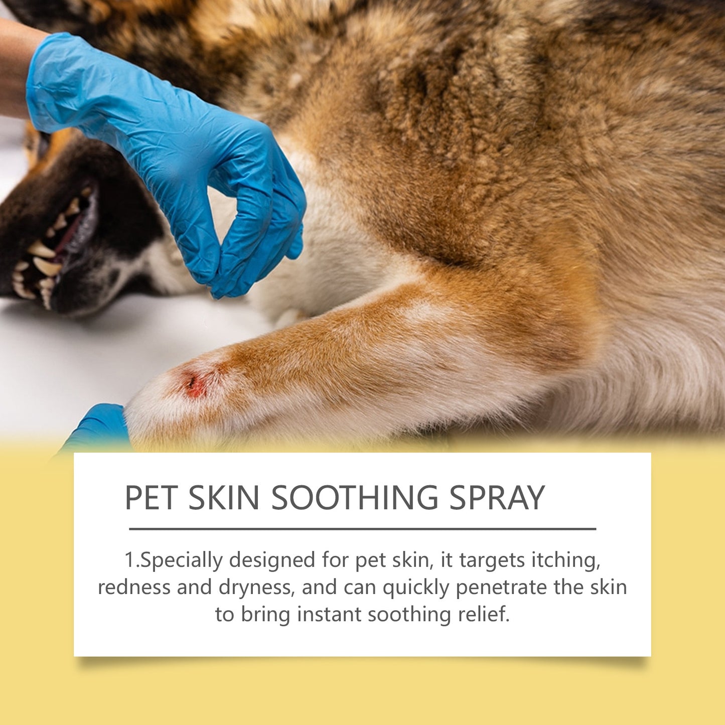 Pet Skin Care Spray Gentle Relief - Elorapets Elorapets 50ml / Spray j4e0kn-zs 0 Pet Skin Care Spray Gentle Relief