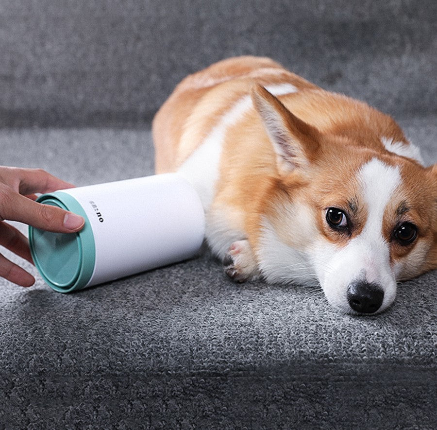 Portable Pet Paw Cleaner Cup Soft Silicone Comb - Elorapets Elorapets Green No Logo / L j4e0kn-zs 0 Portable Pet Paw Cleaner Cup Soft Silicone Comb