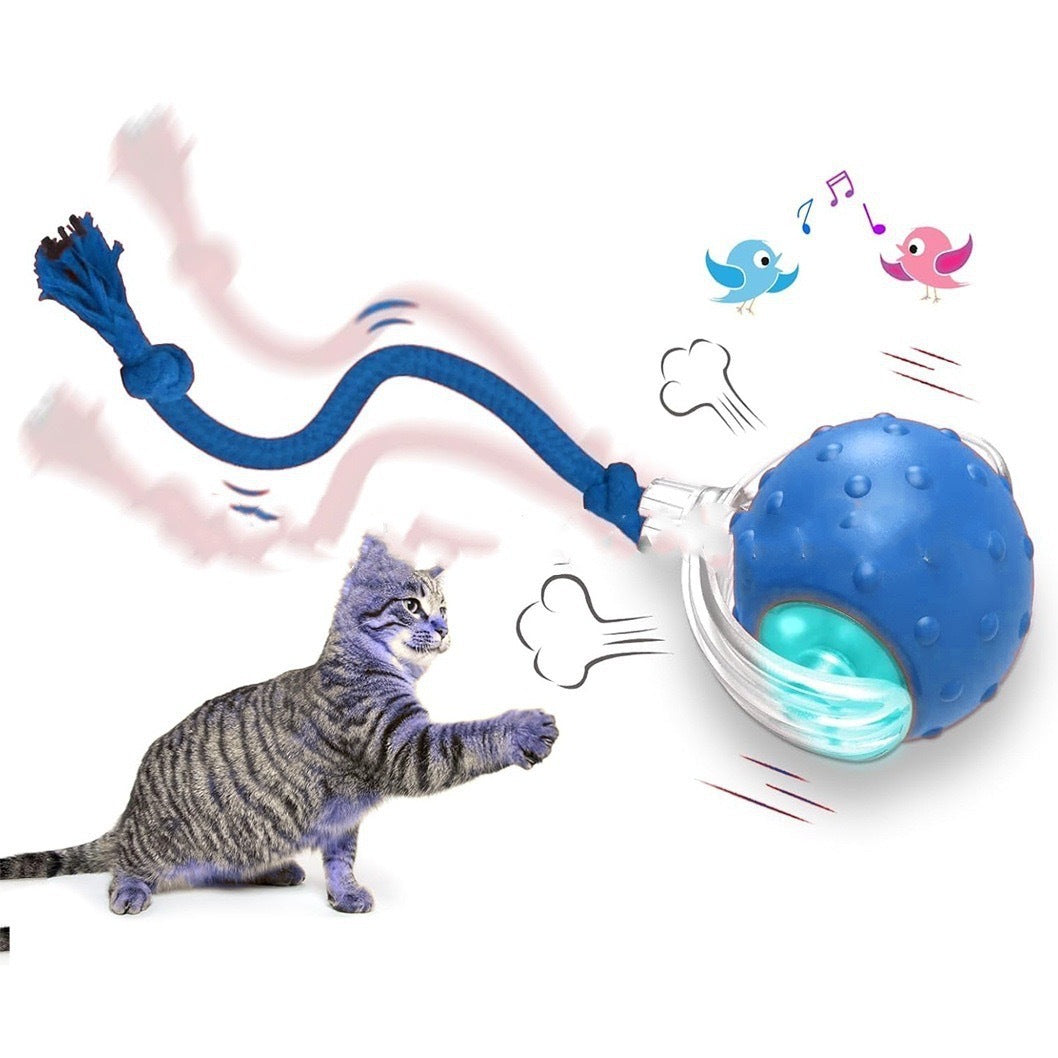 Interactive Cat Toy Ball Super Drive Cat Rolling Ball - Elorapets Elorapets The birds call is Blue j4e0kn-zs 0 Interactive Cat Toy Ball Super Drive Cat Rolling Ball