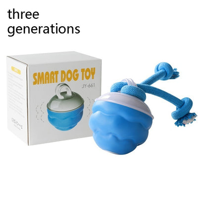 Interactive Rolling Dog Ball – USB Rechargeable Toy - Elorapets Elorapets 3generations j4e0kn-zs 0 Interactive Rolling Dog Ball – USB Rechargeable Toy