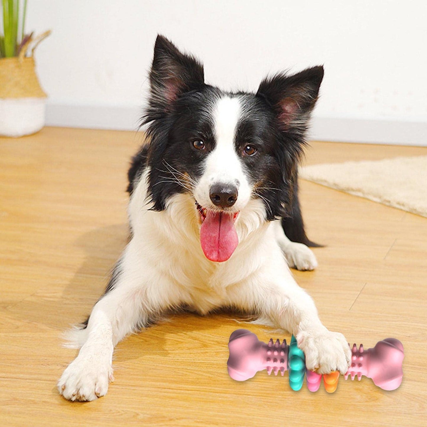 Indestructible TPR Dog Chew Bone – Teeth Cleaning Toy - Elorapets Elorapets Blue j4e0kn-zs 0 Indestructible TPR Dog Chew Bone – Teeth Cleaning Toy