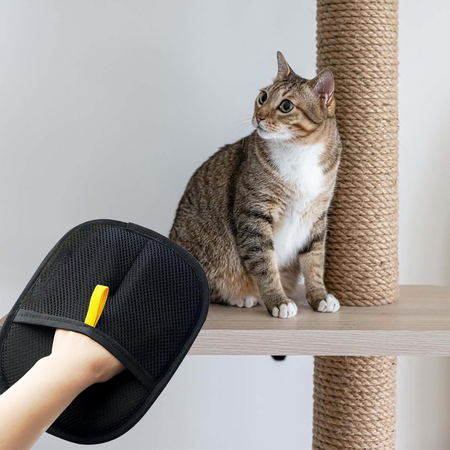 Pet Hair Removal Gloves – Electrostatic Two-Way Bristle Grooming Mitt - Elorapets Elorapets 1pcs j4e0kn-zs 4 Pet Hair Removal Gloves – Electrostatic Two-Way Bristle Grooming Mitt