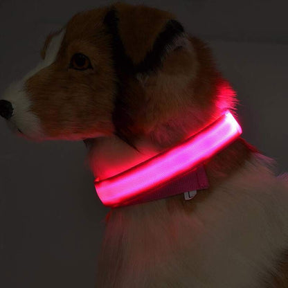 LED Luminous Dog Collar – Flashing Night Safety Nylon Collar - Elorapets Elorapets pink / XL / battery j4e0kn-zs 0 LED Luminous Dog Collar – Flashing Night Safety Nylon Collar