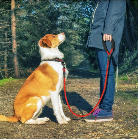 Reflective Nylon Dog Leash – Training & Walking Lead for All Sizes - Elorapets Elorapets Pink j4e0kn-zs 0 Reflective Nylon Dog Leash – Training & Walking Lead for All Sizes