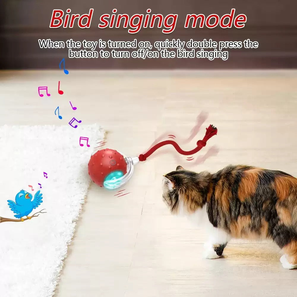 Interactive Cat Toy Ball Super Drive Cat Rolling Balls With - Elorapets Elorapets Red j4e0kn-zs 0 Interactive Cat Toy Ball Super Drive Cat Rolling Balls With