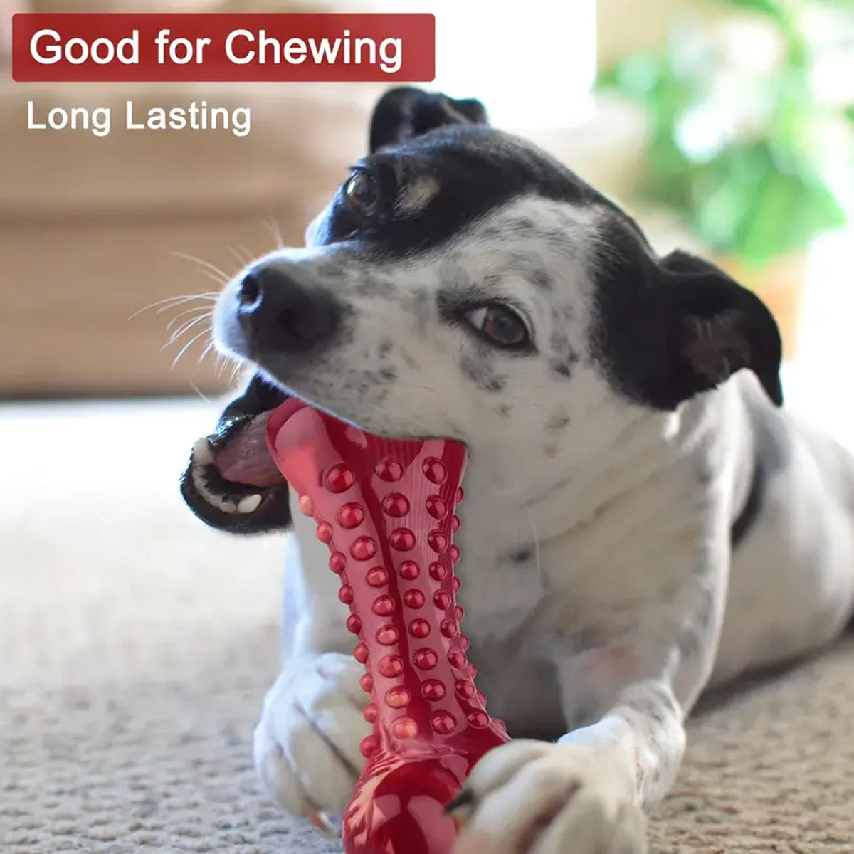Durable Natural Rubber Chew Toy for Aggressive Dogs - Elorapets Elorapets Red j4e0kn-zs 4 Durable Natural Rubber Chew Toy for Aggressive Dogs