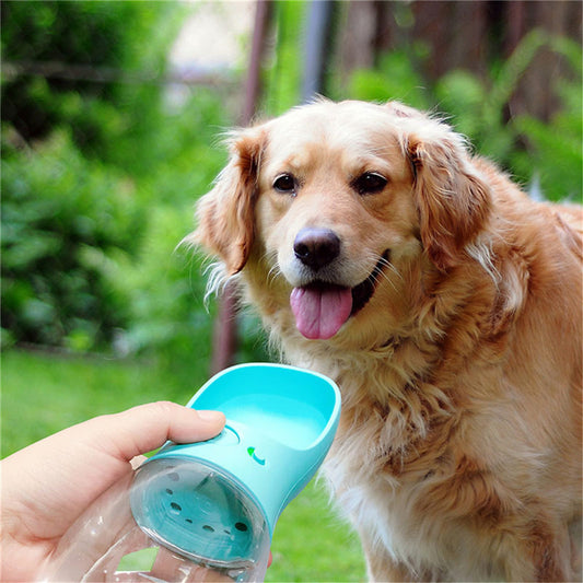 Pet Water Cup Outdoor Portable Water Bottle - Elorapets Elorapets Pink With filter / 350ML j4e0kn-zs 0 Pet Water Cup Outdoor Portable Water Bottle