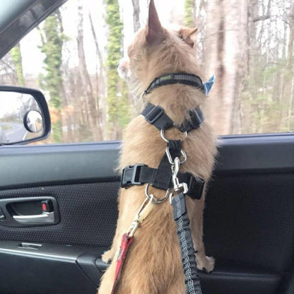 Adjustable Reflective Dog Car Seat Belt – Safety Harness Lead - Elorapets Elorapets Orange j4e0kn-zs 0 Adjustable Reflective Dog Car Seat Belt – Safety Harness Lead