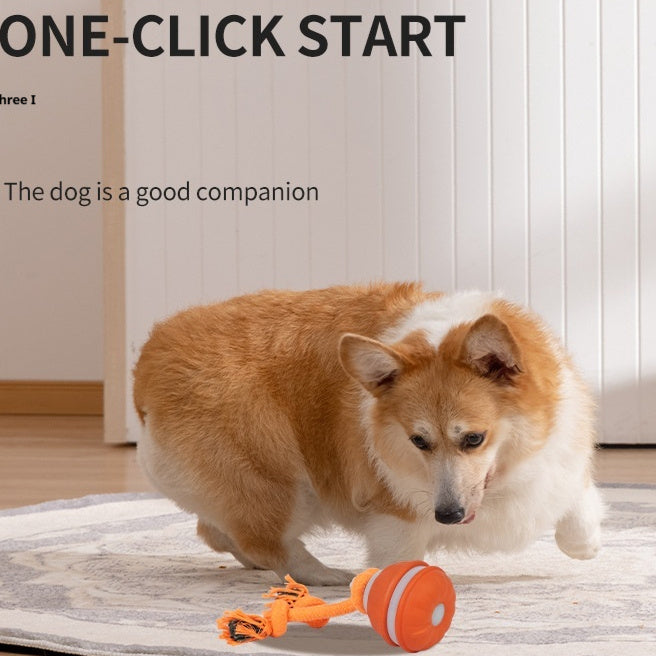 Interactive Rolling Dog Ball – USB Rechargeable Toy - Elorapets Elorapets Orange Bird Call j4e0kn-zs 0 Interactive Rolling Dog Ball – USB Rechargeable Toy