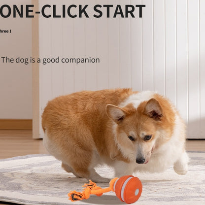 Interactive Rolling Dog Ball – USB Rechargeable Toy - Elorapets Elorapets Orange Bird Call j4e0kn-zs 0 Interactive Rolling Dog Ball – USB Rechargeable Toy