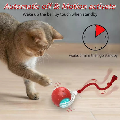 Interactive Cat Toy Ball Super Drive Cat Rolling Balls With - Elorapets Elorapets Red j4e0kn-zs 0 Interactive Cat Toy Ball Super Drive Cat Rolling Balls With