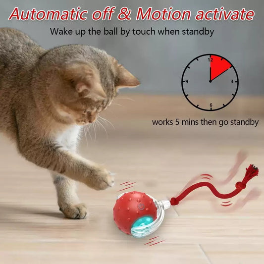 Interactive Cat Toy Ball Super Drive Cat Rolling Balls With - Elorapets Elorapets Red j4e0kn-zs 0 Interactive Cat Toy Ball Super Drive Cat Rolling Balls With