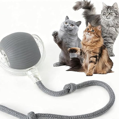 Interactive Smart Cat Ball Toy – USB Rechargeable - Elorapets Elorapets Grey j4e0kn-zs 4 Interactive Smart Cat Ball Toy – USB Rechargeable