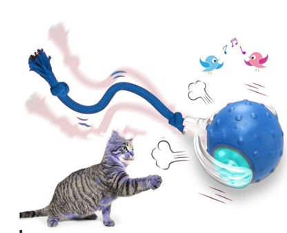 Interactive Cat Toy Ball Super Drive Cat Rolling Balls With - Elorapets Elorapets Blue j4e0kn-zs 0 Interactive Cat Toy Ball Super Drive Cat Rolling Balls With