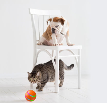 Smart Self-Rotating Cat Ball – USB Interactive Toy - Elorapets Elorapets Yellow / Self hi version j4e0kn-zs 0 Smart Self-Rotating Cat Ball – USB Interactive Toy