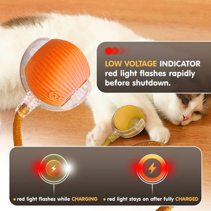 Interactive Smart Cat Ball Toy – USB Rechargeable - Elorapets Elorapets Red j4e0kn-zs 4 Interactive Smart Cat Ball Toy – USB Rechargeable