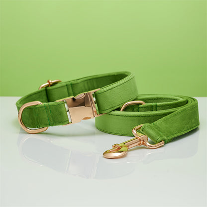 Multiple Colour Velvet Personalise Dog Collar Leash Set With Bow - Elorapets Elorapets Green set / XS j4e0kn-zs 0 Multiple Colour Velvet Personalise Dog Collar Leash Set With Bow