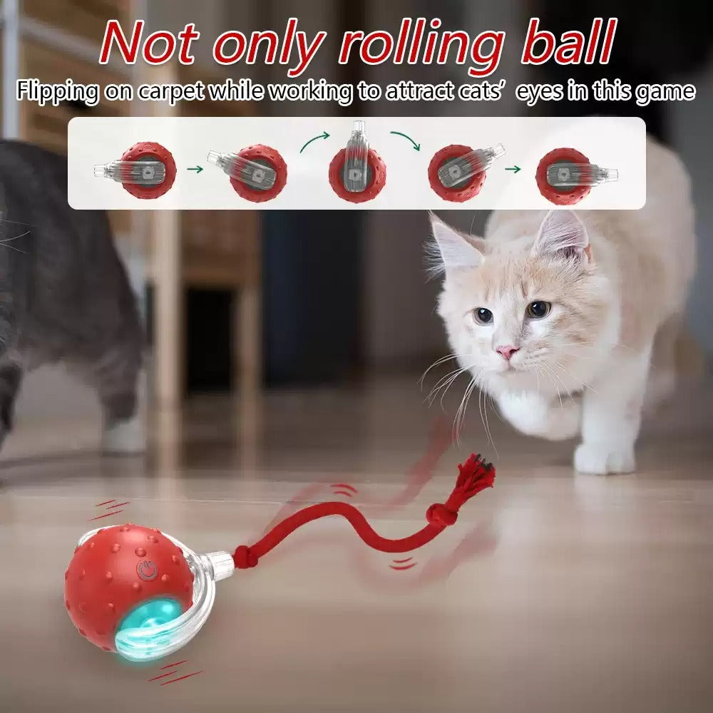 Interactive Cat Toy Ball Super Drive Cat Rolling Balls With - Elorapets Elorapets Red j4e0kn-zs 0 Interactive Cat Toy Ball Super Drive Cat Rolling Balls With