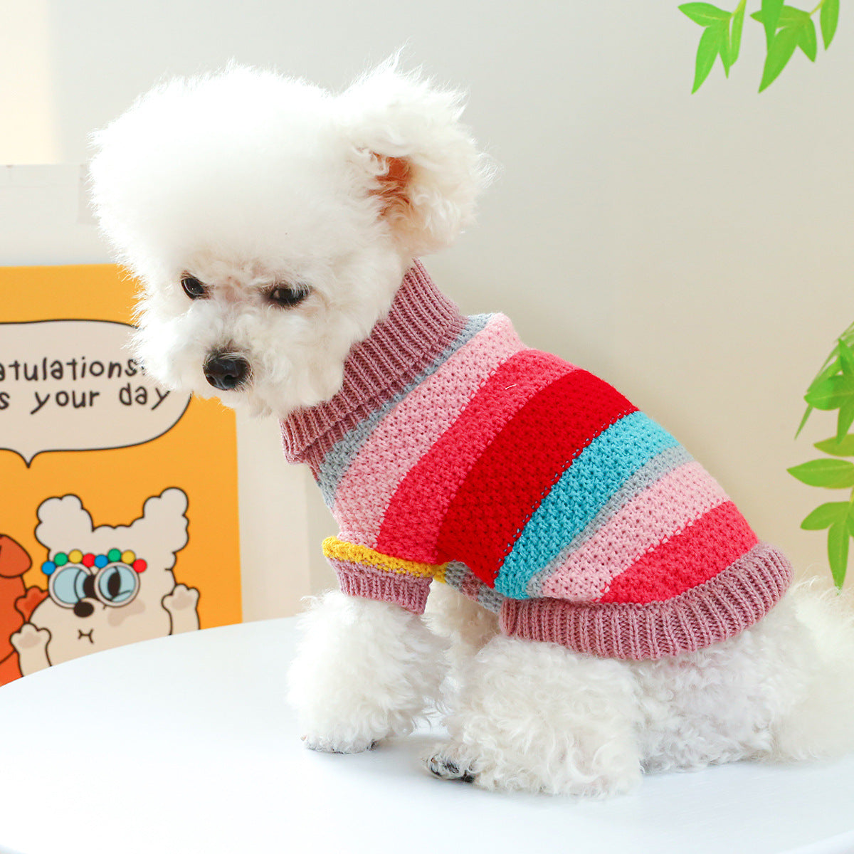 Pet Ring Comfortable Color Stripes Colorful Sweater - Elorapets Elorapets Color Stripes Colorful Sweater / XS j4e0kn-zs 0 Pet Ring Comfortable Color Stripes Colorful Sweater