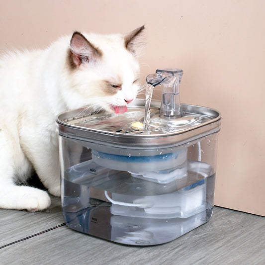 Stainless Steel Pet Water Fountain – Automatic Circulation Dispenser - Elorapets Elorapets Basic payment / 220V US j4e0kn-zs 0 Stainless Steel Pet Water Fountain – Automatic Circulation Dispenser