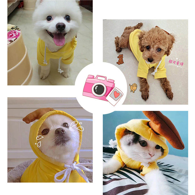 Cute Fruit Dog Hoodie – Warm Fleece Winter Coat for Small Dogs - Elorapets Elorapets 1 Style / XS j4e0kn-zs 0 Cute Fruit Dog Hoodie – Warm Fleece Winter Coat for Small Dogs