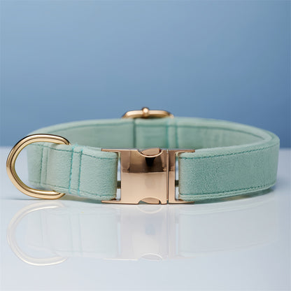 Multiple Colour Velvet Personalise Dog Collar Leash Set With Bow - Elorapets Elorapets Cyan / XS j4e0kn-zs 0 Multiple Colour Velvet Personalise Dog Collar Leash Set With Bow