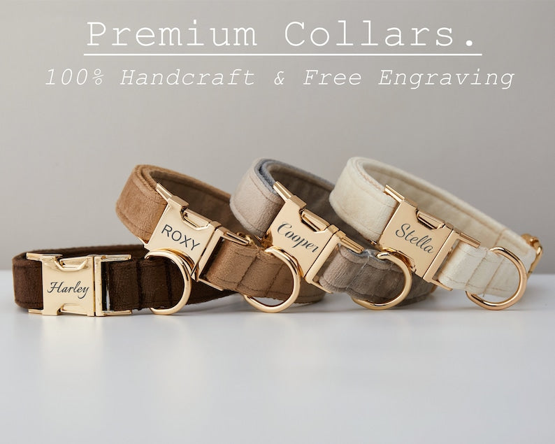 Multiple Colour Velvet Personalise Dog Collar Leash Set With Bow - Elorapets Elorapets Brown / XS j4e0kn-zs 0 Multiple Colour Velvet Personalise Dog Collar Leash Set With Bow