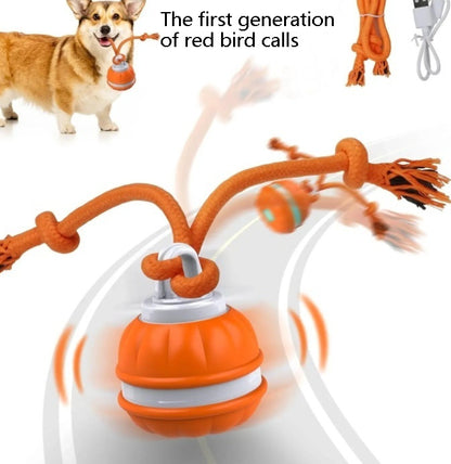 Interactive Rolling Dog Ball – USB Rechargeable Toy - Elorapets Elorapets 1generationred bird calls j4e0kn-zs 0 Interactive Rolling Dog Ball – USB Rechargeable Toy